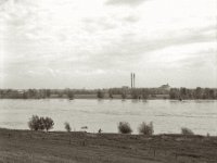 Angeln am Rhein  Pentax 6x7, SMC 2.4/105, Kentmere 100  - 08.05.2023 -