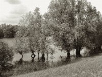 Am kleinen See  Pentax 6x7, SMC 2.4/105, Kentmere 100  - 08.05.2023 -