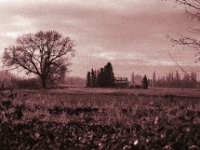 Verlassenes Heim  Pentax MZ-S, SMC FA 1.8/77 Limited,  Bergger Pancro400@640   - 12.12.2023 -