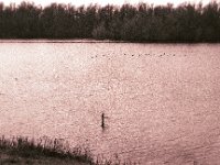 Hoher Pegel im kleinen See  Pentax MZ-S, SMC FA 1.8/77 Limited,  Bergger Pancro400@640   - 12.12.2023 -