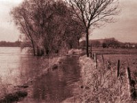 Der Rhein wässert meinen Weg  Pentax MZ-S, SMC FA 1.8/77 Limited,  Bergger Pancro400@640   - 12.12.2023 -