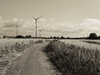 Windenergie  Pentax 645 N, SMC FA 2.8/75, Gelbfilter, Fuji Acros II  100@64  - 12.07.2023 -