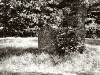 Jüdischer Friedhof  Pentax 645N, SMC 2.8/75, Gelbfilter, Kentmere Pan 100  - 12.06.2023 -