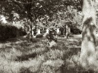 Grabsteine  Pentax 645N, SMC 2.8/75, Gelbfilter, Kentmere Pan 100  - 12.06.2023 -