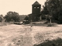 Der Hund am Mäuseturm  Pentax 645N, SMC 2.8/75, Gelbfilter, Kentmere Pan 100  - 12.06.2023 -