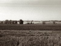 Die Landschaft wird weiter abgebaggert  Pentax MZ-S, SMC 2.8/24, Ilford Pan 100  - 13.05.2023 -