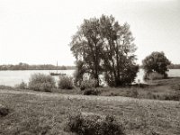 Rheinblick bei  Rees  Pentax MZ-S, SMC 2.8/24, Ilford Pan 100  - 13.05.2023 -