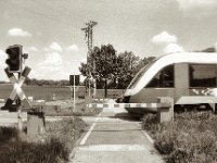 Der Niederrheiner  Pentax MZ-S, SMC 2.8/24, Ilford Pan 100  - 13.05.2023 -
