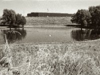 Naturschutz Lippemündung  Pentax Super A, SMC FA 1.9/43 Limited, Gelbfilter, ADOX CHS 100II  - 17.06.2023 -