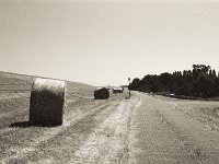 Hinterm Deich  Pentax Super A, SMC FA 1.9/43 Limited, Gelbfilter, ADOX CHS 100II  - 17.06.2023 -