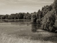 Am kleinen Deichsee  Pentax Super A, SMC FA 1.9/43 Limited, Gelbfilter, ADOX CHS 100II  - 17.06.2023 -