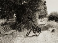 Pause am Rheinufer  Pentax Super A, SMC FA 1.9/43 Limited, Gelbfilter, ADOX CHS 100II  - 17.06.2023 -