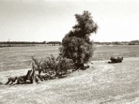 Schattensuche  Pentax Super A, SMC FA 1.9/43 Limited, Gelbfilter, ADOX CHS 100II  - 17.06.2023 -