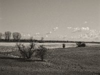 Frühe Landschaft  Pentax 67 II, SMC 4.5/75, Fuji Acros 100II  - 17.03.2023 -