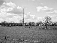 Blühende Sträucher und Windräder  Pentax 67 II, SMC 4.5/75, Fuji Acros 100II  - 17.03.2023 -