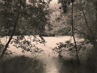 Stille  Pentax 645N, SMC FA 2,8/45, Orangefilter, Bergger Pancro 400  - 18.08.2023 -