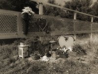 Noch nicht vergessen  Pentax 645N, SMC FA 2,8/45, Orangefilter, Bergger Pancro 400  - 18.08.2023 -