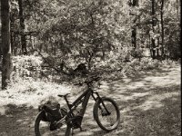 Halt im Wald  Fuji GS 645S Professional wide 60, Kentmere 100  - 19.05.2023 -