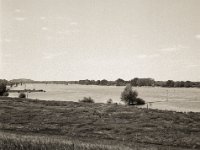 Am Rhein  Fuji GS 645S Professional wide 60, Kentmere 100  - 19.05.2023 -