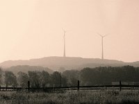Windräder im Morgendunst  Pentax MZ-S, SMC FA 1.9/43 Limited, Gelbfilter, ADOX CHS 100 II  - 23.08.2023 -