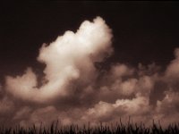 Wolken überm Mais  Pentax MZ-S, SMC FA 1.9/43 Limited, Gelbfilter, ADOX CHS 100 II  - 23.08.2023 -