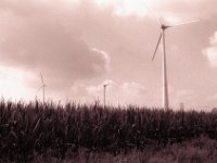 Energie  Pentax MZ-S, SMC FA 1.9/43 Limited, Gelbfilter, ADOX CHS 100 II  - 23.08.2023 -