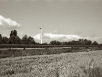 Windrad  Pentax K2, SMC 1.4/50, ADOX CHS 100 II  - 25.07.2023 -