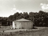 Silo mit Storch  Pentax K2, SMC 1.4/50, ADOX CHS 100 II  - 25.07.2023 -