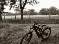 Pause  Pentax K2, SMC 1.4/50, ADOX CHS 100 II  - 25.07.2023 -