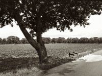 Rastbank  Pentax K2, SMC 1.4/50, ADOX CHS 100 II  - 25.07.2023 -