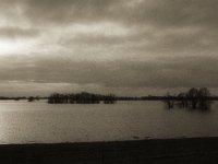 Am Rheinufer  Fuji GS 645S professional WIDE 60, Bergger Pancro 400  - 26.12.2023 -