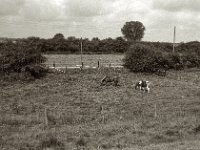 Dreier Gruppe  Pentax Super A, SMC M 2.8.40, ADOX CHS100II@64  - 28.08.2023 -