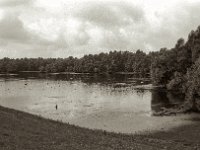See am Morgen  Pentax Super A, SMC M 2.8.40, ADOX CHS100II@64  - 28.08.2023 -