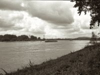 Der Rhein  Pentax Super A, SMC M 2.8.40, ADOX CHS100II@64  - 28.08.2023 -