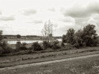 Baggerloch am Rhein  Pentax Super A, SMC M 2.8.40, ADOX CHS100II@64  - 28.08.2023 -
