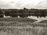 Naturschutzgebiet  Pentax Super A, SMC M 2.8.40, ADOX CHS100II@64  - 28.08.2023 -