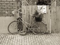 Nur noch Zierde  Pentax MZ-S, SMCA FA 1.9/43 Limited, ADOX CHS 100II  - 30.01.2023 -