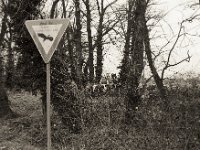 Schutz und Nutzung  Pentax MZ-S, SMCA FA 1.9/43 Limited, ADOX CHS 100II  - 30.01.2023 -
