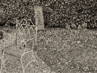 Gartenecke  Pentax MZ-S, SMCA FA 1.9/43 Limited, ADOX CHS 100II  - 30.01.2023 -