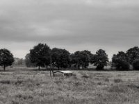 Unterstand  PENTAX K-3 Mark III Monochrome, SMC PENTAX-FA 1.8/31 Limited - 02.06.2024 -