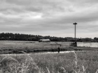 Storchennest Testerberge  PENTAX K-3 Mark III Monochrome, SMC PENTAX-FA 1.8/31 Limited - 02.06.2024 -