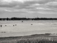 Motorboot auf dem Rhein  PENTAX K-3 Mark III Monochrome, SMC PENTAX-FA 1.8/31 Limited - 02.06.2024 -
