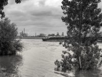 Aussicht am Ufer  PENTAX K-3 Mark III Monochrome, SMC PENTAX-FA 1.8/31 Limited - 02.06.2024 -