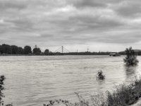 Am Rhein bei Baerl  PENTAX K-3 Mark III Monochrome, SMC PENTAX-FA 1.8/31 Limited - 02.06.2024 -
