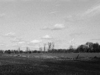 Feldsäume  Pentax MZ-S, SMC 1.9/43 Limited, ADOX CHS 100 II  - 02.03.2024 -