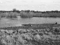 Wildgänse im Lippe Naturschutz  Pentax MZ-S, SMC 1.9/43 Limited, ADOX CHS 100 II  - 02.03.2024 -
