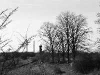 Storchennest  Pentax MZ-S, SMC 1.9/43 Limited, ADOX CHS 100 II  - 02.03.2024 -