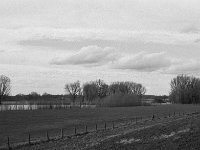 Alter Rheinarm am Deich  Pentax MZ-S, SMC 1.9/43 Limited, ADOX CHS 100 II  - 02.03.2024 -