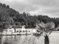 Seestern  PENTAX K-3 Mark III Monochrome, HD PENTAX - DA* 2.8/16-50 ED PLM AW  - 02.10.2024 -