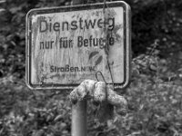 Armes Plüschhäschen  PENTAX K-3 Mark III Monochrome, HD PENTAX - DA* 2.8/16-50 ED PLM AW  - 02.10.2024 -